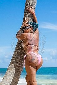 Foto di Stella
