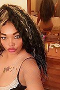  Belluno Laura 350.9063529 foto selfie 46
